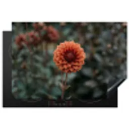 Dahlia - Bloem - Natuur - Sfeervol Inductie beschermer vinyl 3mm klein -3d