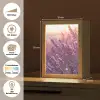 Lavendel - Paars - Zonlicht Light Box met kabel (Tafellamp) klein -USP_websiteoverzichtDE