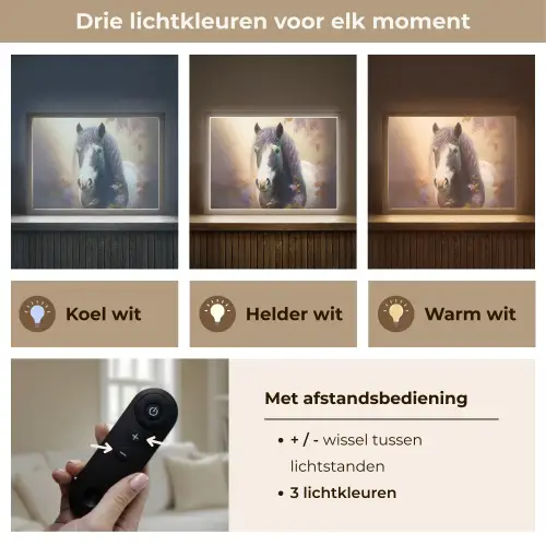 Paard - Natuur - Dieren - Bloemen - Paars Light Box met batterij (Wandlamp kind) middel -USP_lichtkleurNL