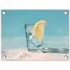 Glas - ijsblokjes - Citroen tuinposter los doek klein -3d