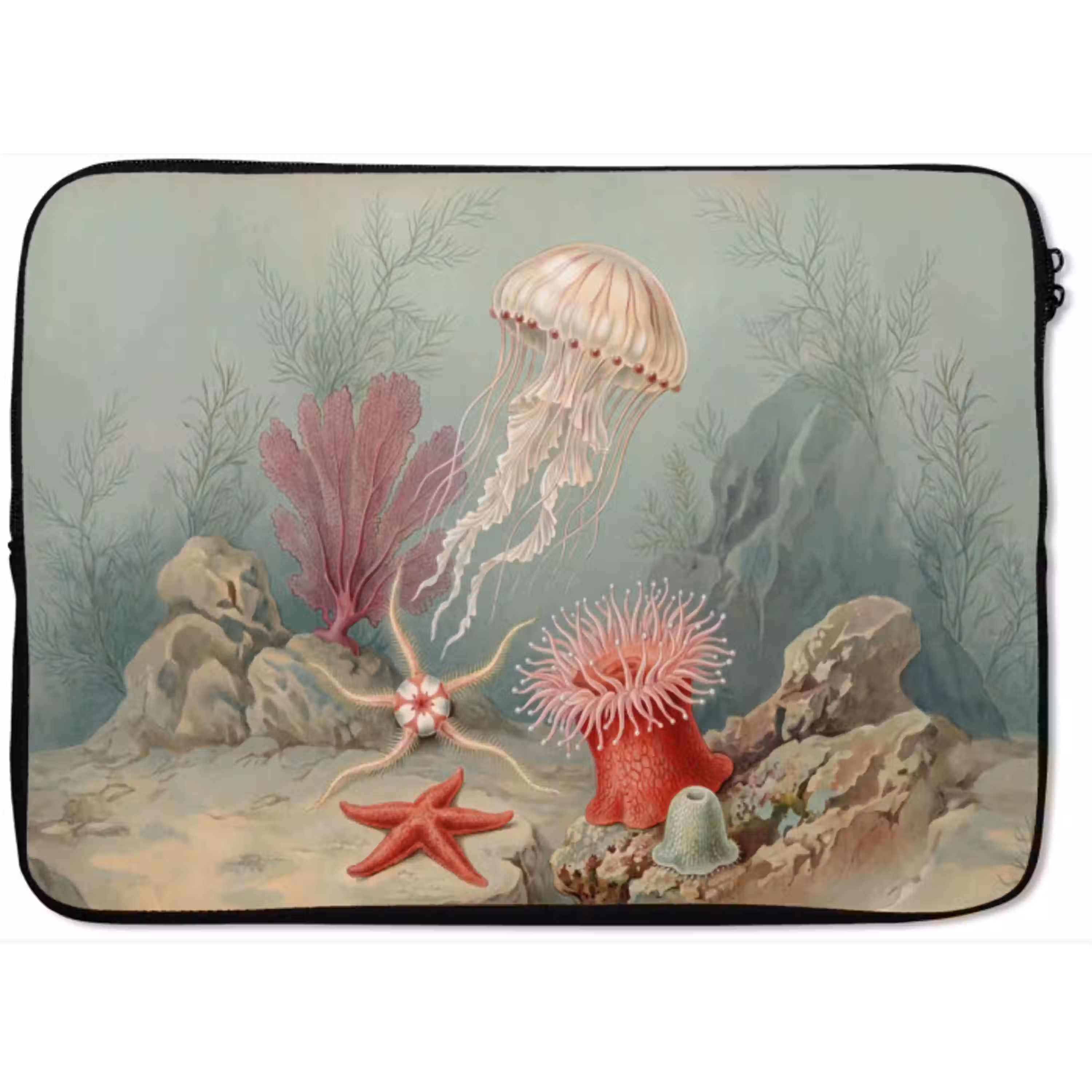 Zeeleven - Kwal - Onderwater - Illustratie - Beige laptophoes neopreen klein -zkaufland3dotto