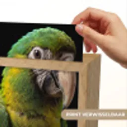 Ara - Portret - Groen Light Box met kabel (Kinderlampje) klein -USP_websiteprintNL