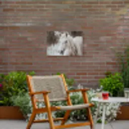 Paard - Wit - Winter - Natuur - Sneeuw - Dieren Tuinposter op houten frame 2 cm dik klein -sfeer3
