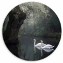 Zwanen - Rivier - Bos Wandcirkel kunststof plaat 5mm dik klein -3d