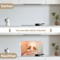 Roodborstjes - Sierlijk - Bloesemtak keuken achterwand spatscherm klein -voor_na_DE