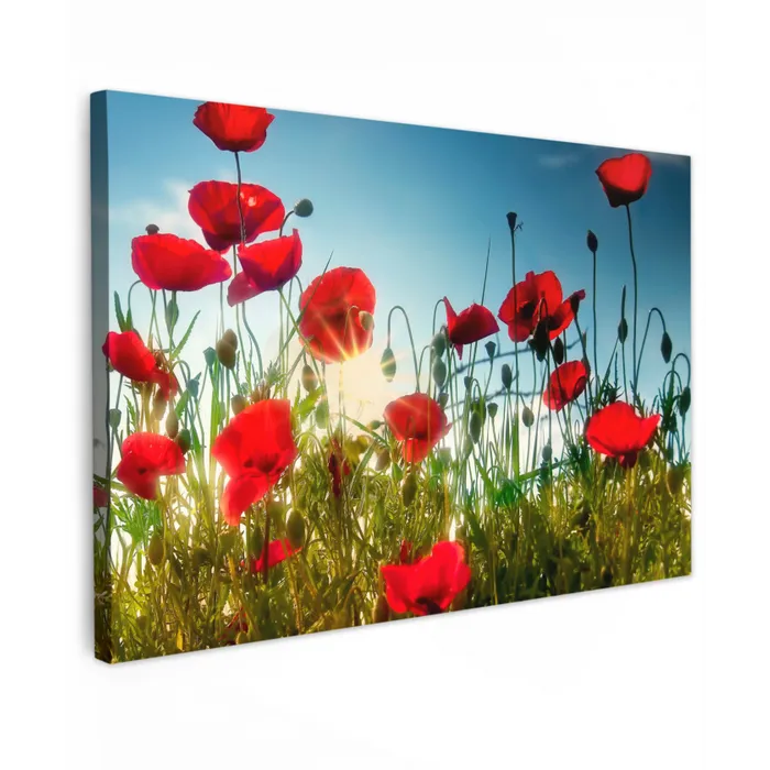 Klaprozen - Toscane - Zon - Rood - Blauw canvas 2cm klein -z3d