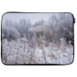 Schermbloem - Rijp - Kristallen - Winter - Delicaat laptophoes neopreen klein -zkaufland3dotto