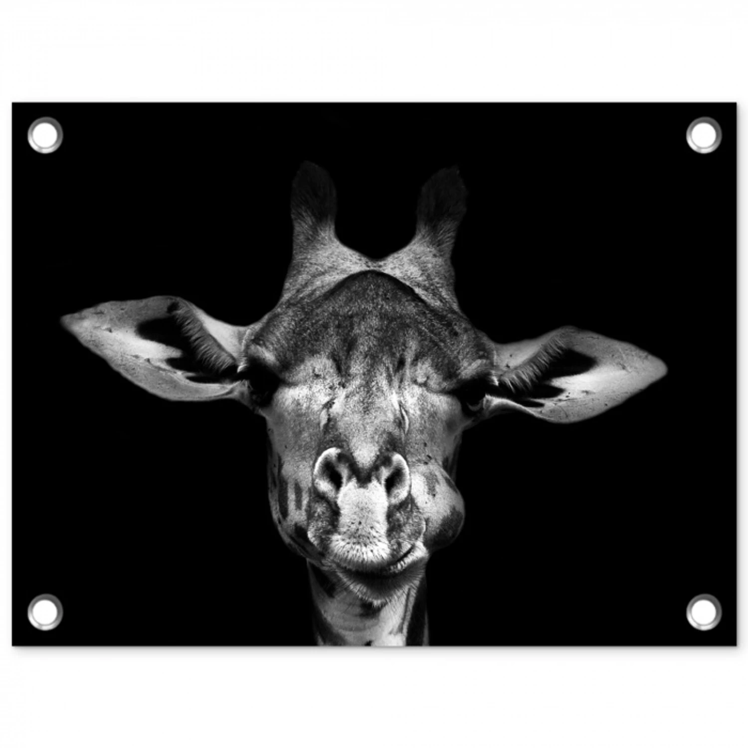 Giraffe portret in zwart-wit tuinposter los doek klein -3d