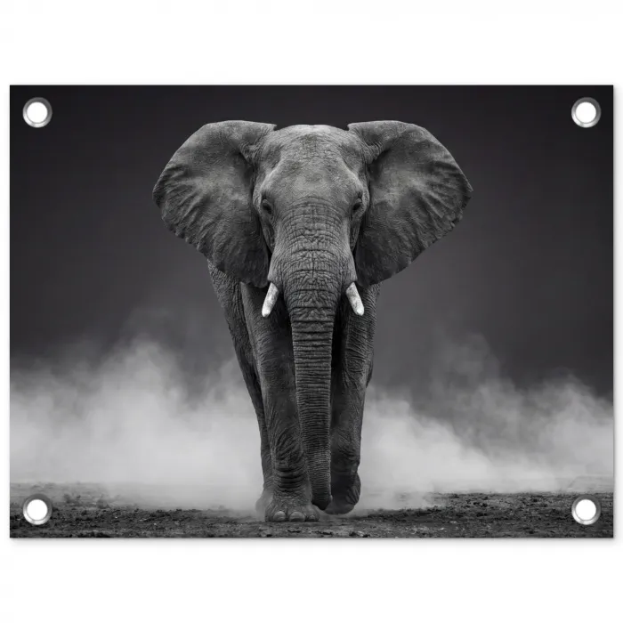Olifant - Zwart - Wit - Rook tuinposter los doek klein -3d