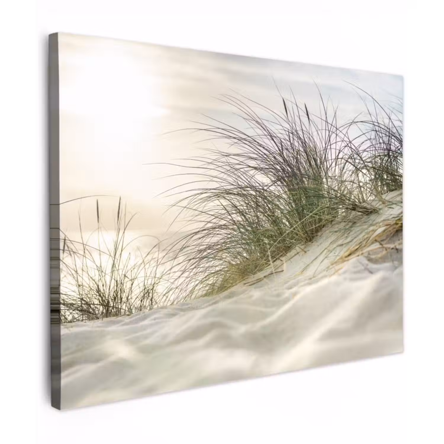 Canvas Print - Dunes with marram grass under the sun of the German national park Schleswig-Holsteinisches Wattenmeer