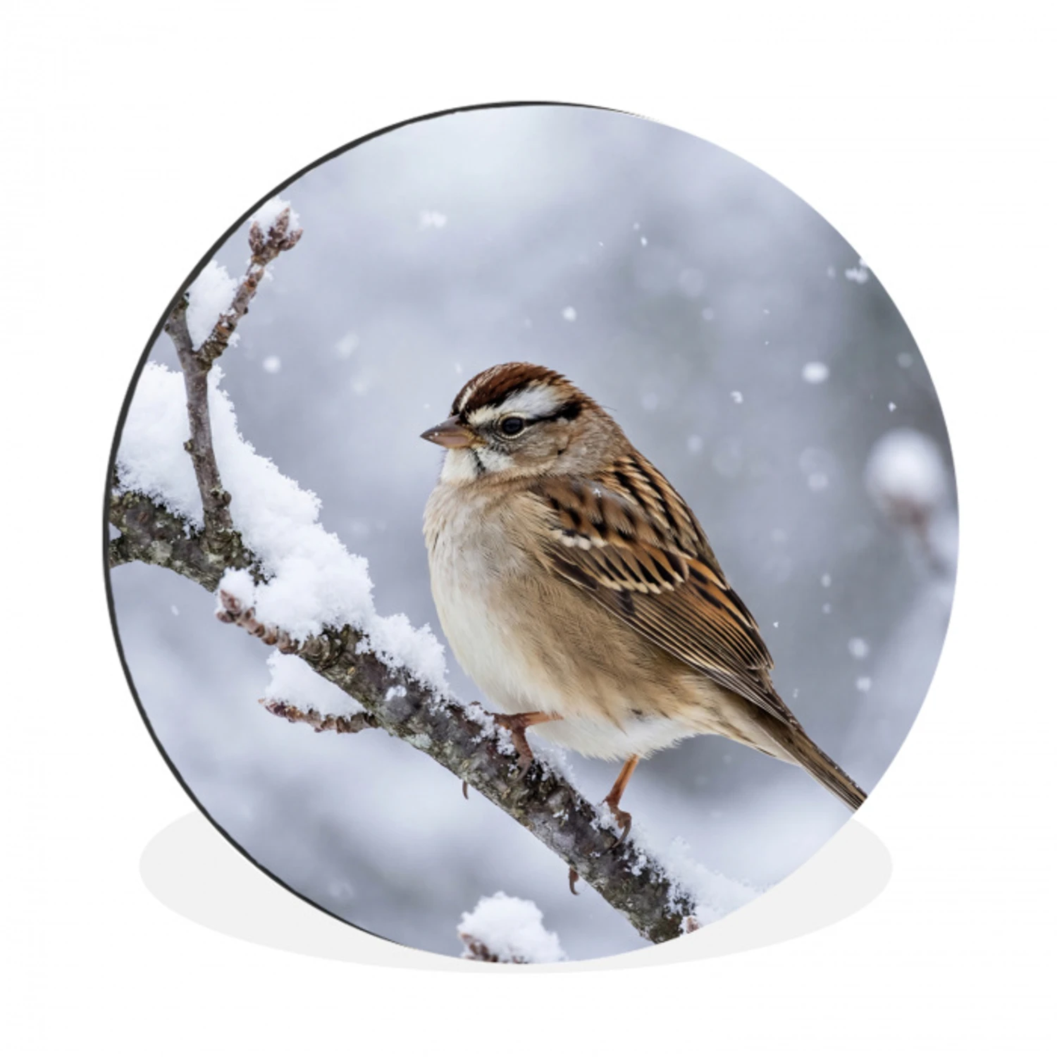 Vogel - Tak - Sneeuw - Winter Wandcirkel aluminium klein -3d