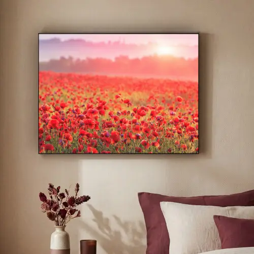 Bloemen - Klaprozen - Rood - Bloemenveld Textielframe zwart klein -sfeer1