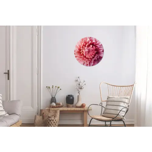 Dahlia - Bloem - Close up - Roze Wandcirkel aluminium klein -woonkamer