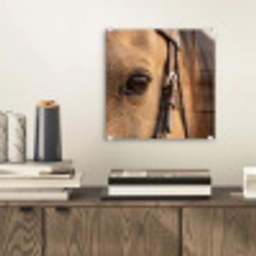 Paard - Oog - Bruin plexiglas 5mm klein -sfeer1