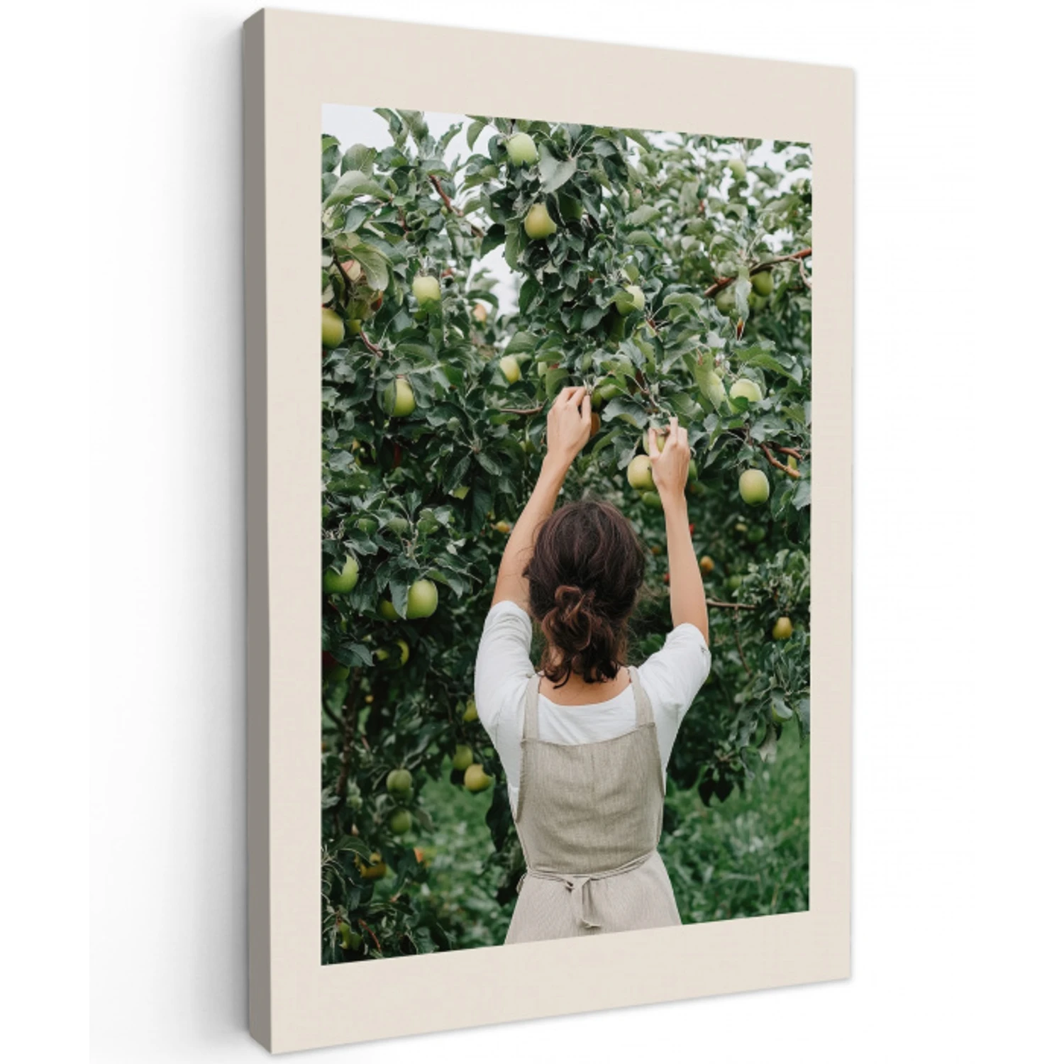 Boom - Appels - Plukken - Natuur Tuinposter op houten frame 2 cm dik klein -3d