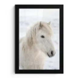 Paard - Kop - Winter - Dieren - Wit fotolijst zwart zonder passe partout klein -3d