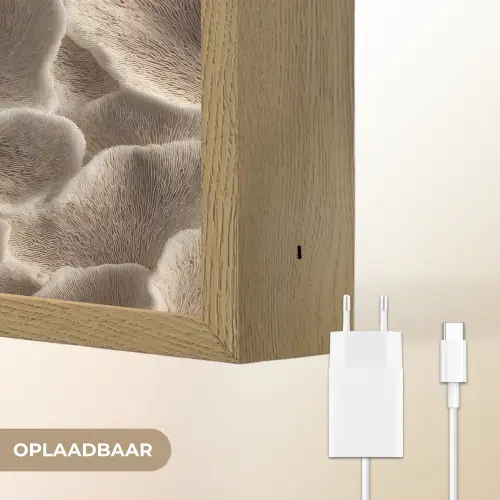 Waaiervorm - Beige - Vezel textuur Light Box met batterij (Wandlamp) middel 907 -USP_websiteoplaadbaarNL