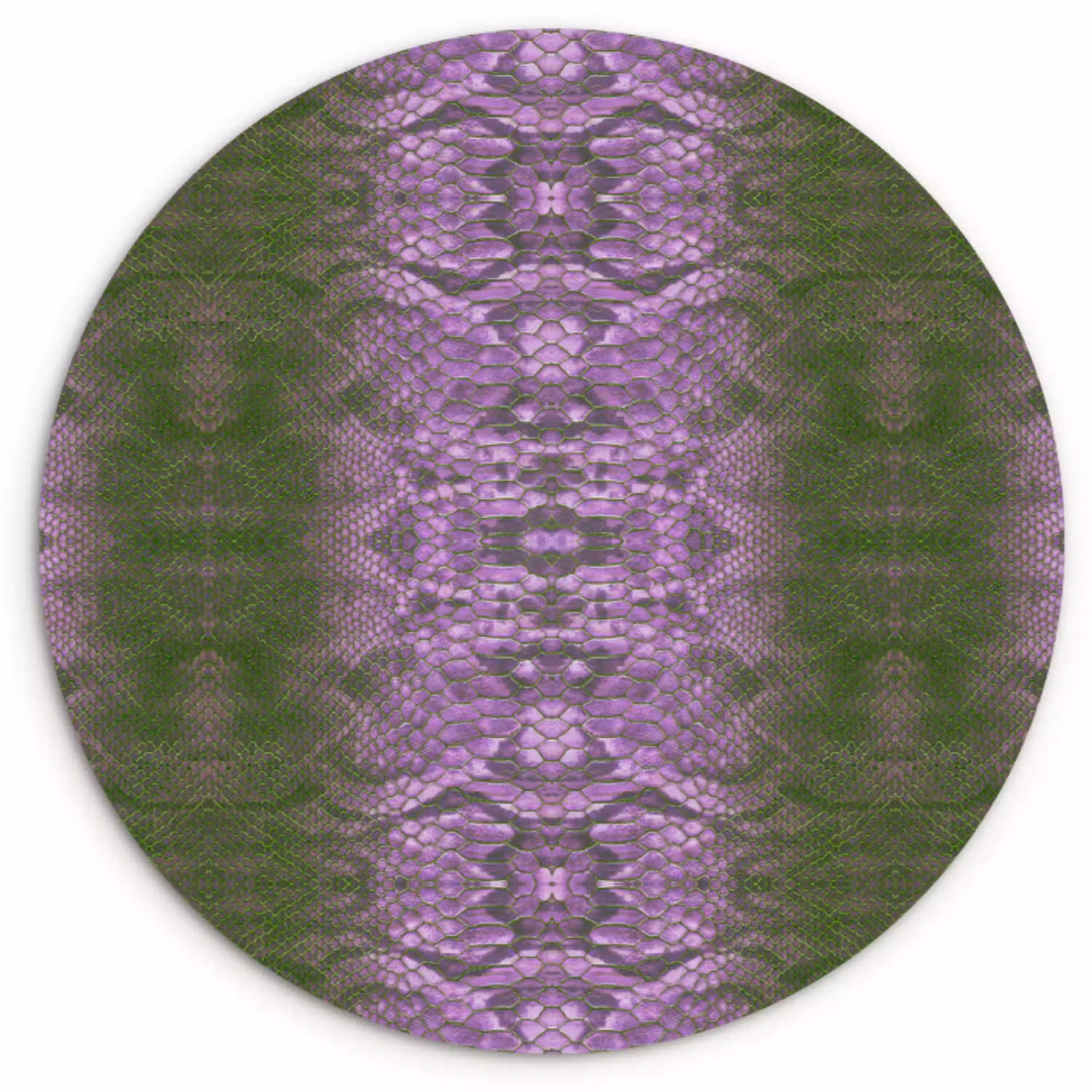 Slang - Boa - Lila - Groen Wandcirkel plexiglas klein 852 -3d