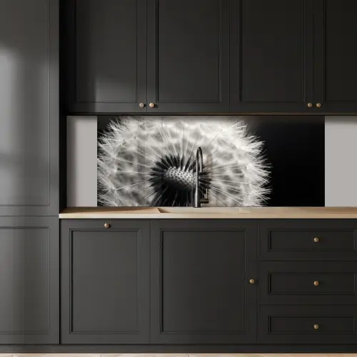 Paardenbloem - Zwart - Wit keuken achterwand 2 middel -sfeer1