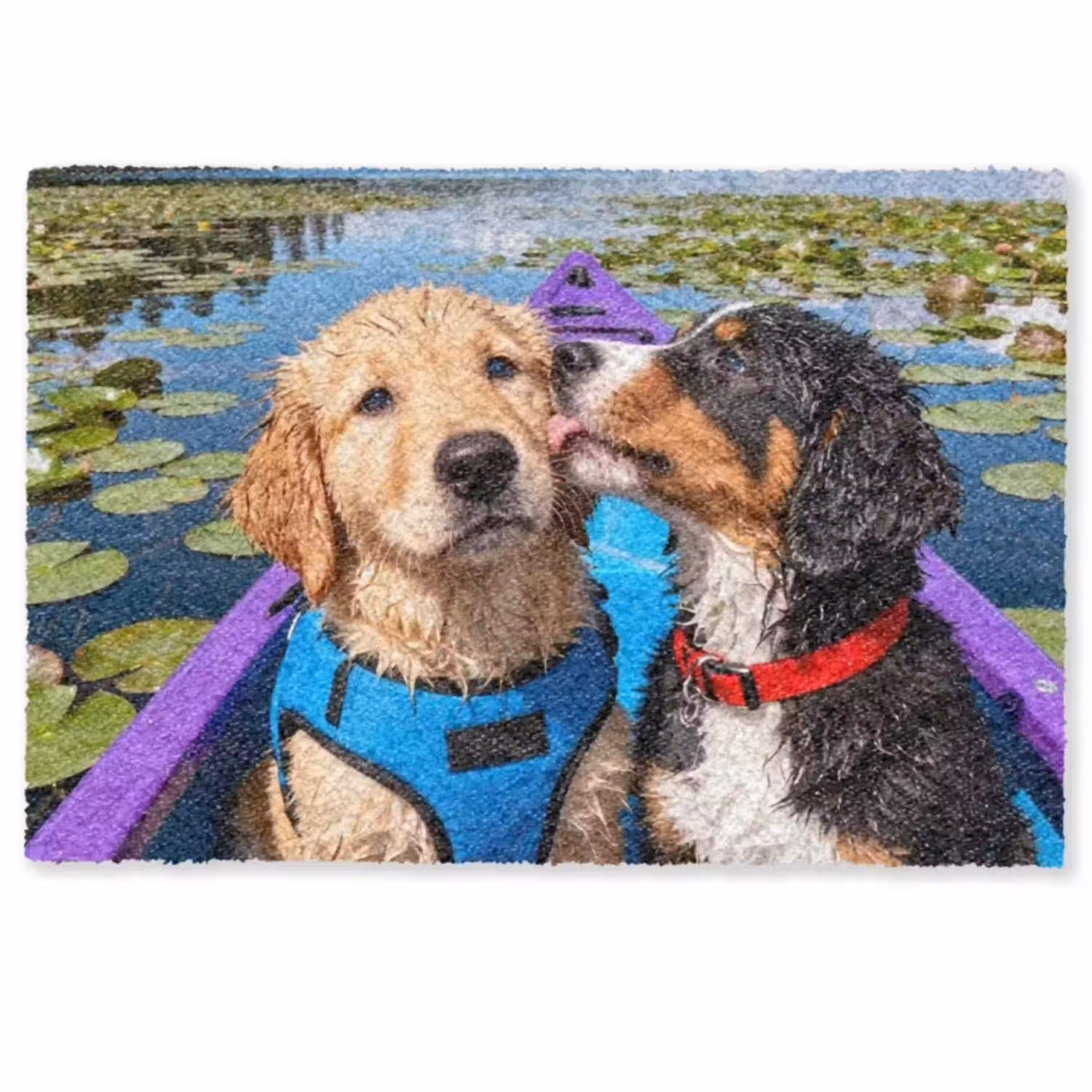 Fußmatte mit zwei Hunden