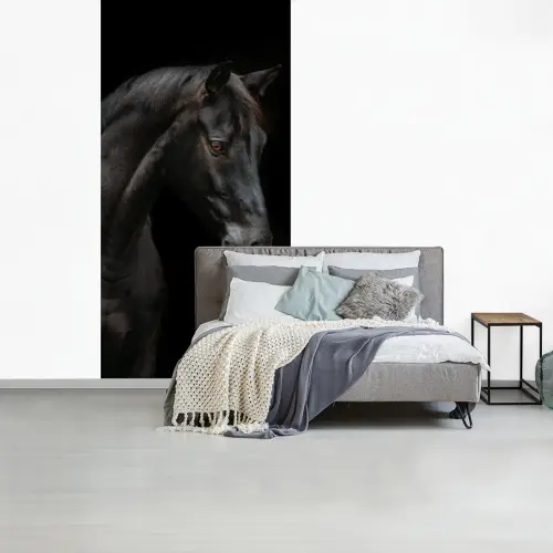Paard - Dieren - Zwart - Portret fotobehang vinyl groot -slaapkamer
