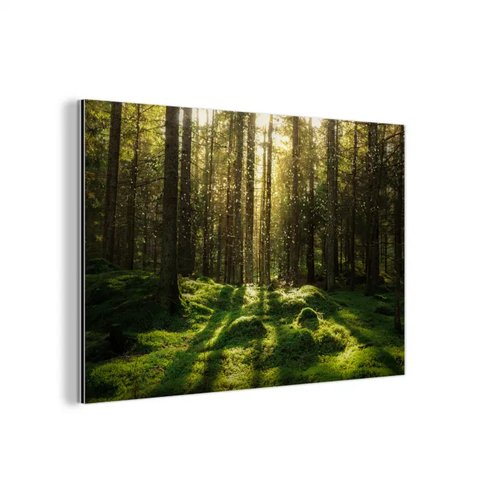 Bomen - Bos - Mos - Planten - Zon - Natuur aluminium wit klein -3d