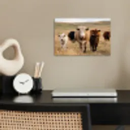 Runderen - Kudde - Landschap - Weide - Rustig poster papier klein -sfeer1