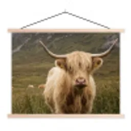Schotse hooglander - Bergen - Grasveld textielposter latten blank klein -3d