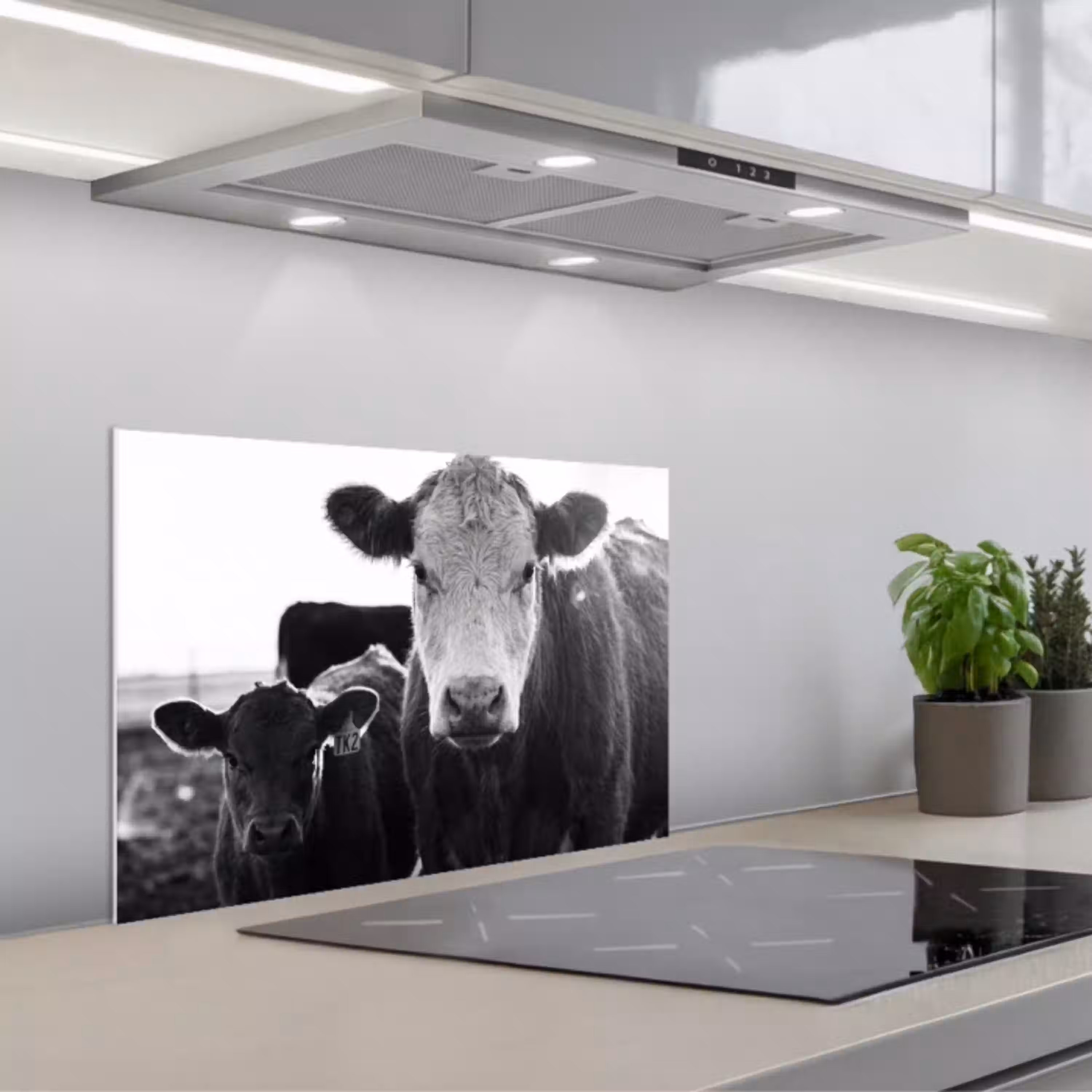 Koeien - Zwart - Wit keuken achterwand spatscherm klein -3d_schuin