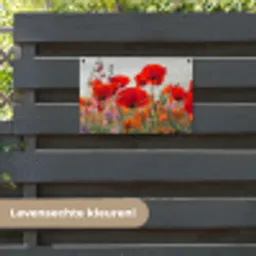 Bloeipracht van Klaprozen tuinposter los doek klein -sfeer3