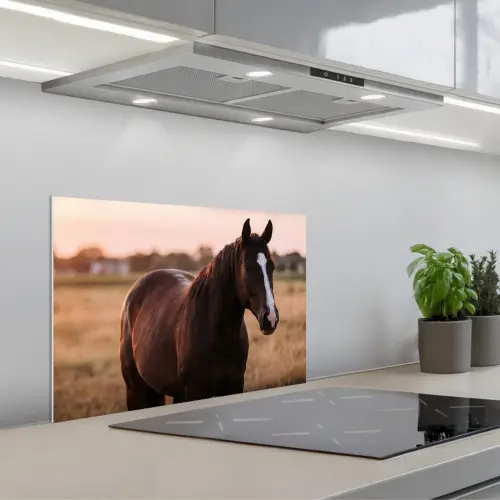 Paard - Zonsondergang - Bruin keuken achterwand spatscherm klein -3d_schuin