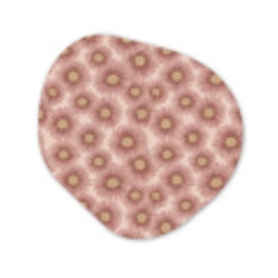 Gerbera - Bloemen - Roze Wandcirkel Organisch Forex 3mm klein 629 -3d
