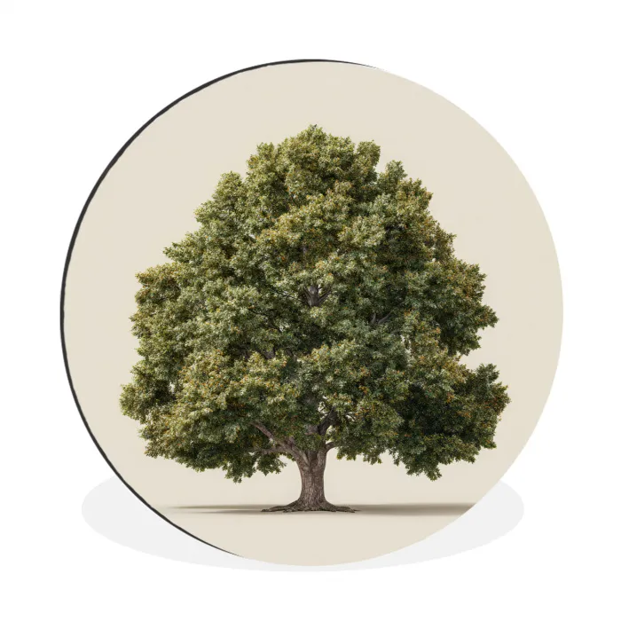 Eikenboom - Groen - Lichte achtergrond Wandcirkel aluminium klein -3d