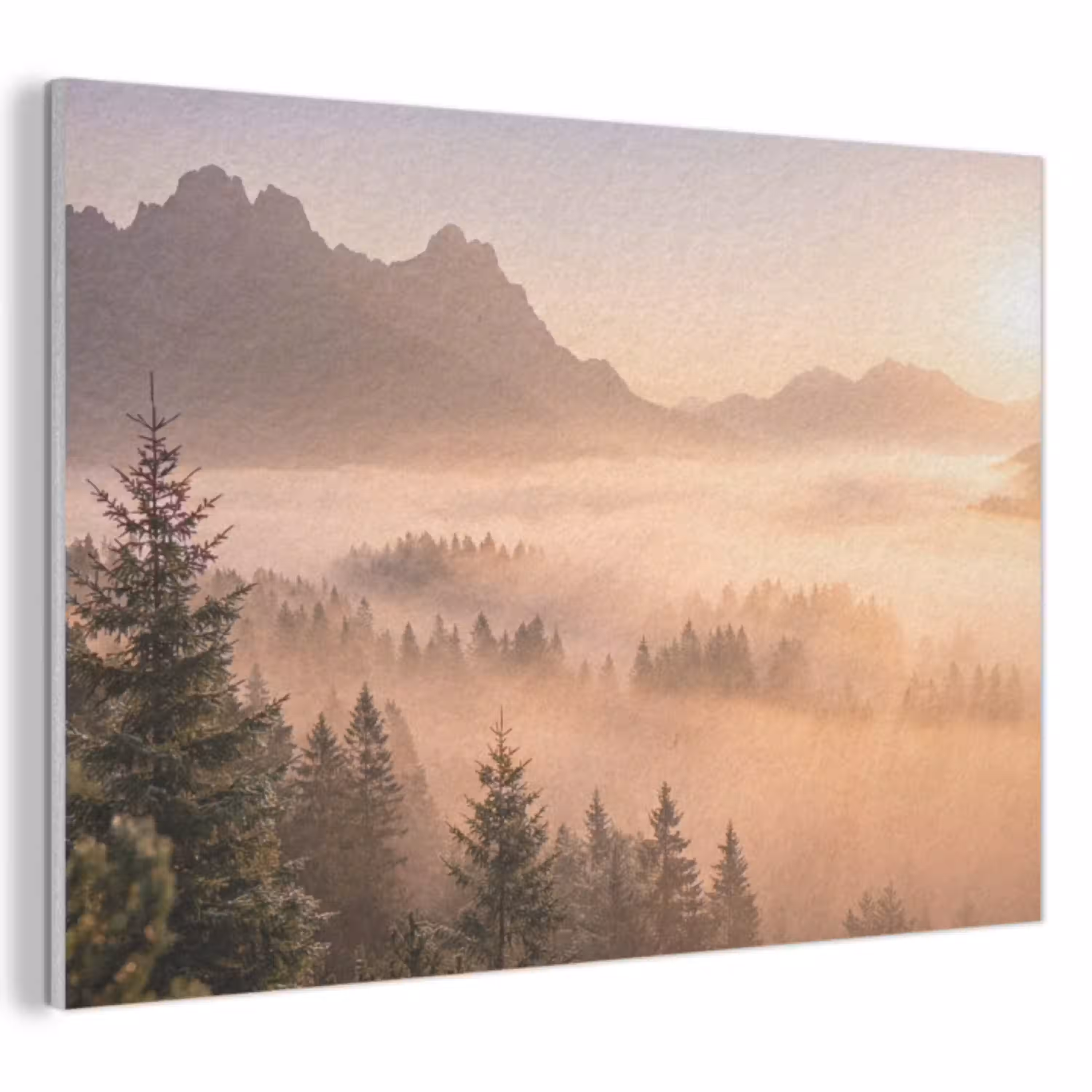 Zonlicht - Mist - Bergen - Bomen PET vilt klein -3d
