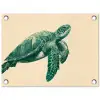 Schildpad - Sierlijk - Groen - Schild tuinposter los doek klein -3d