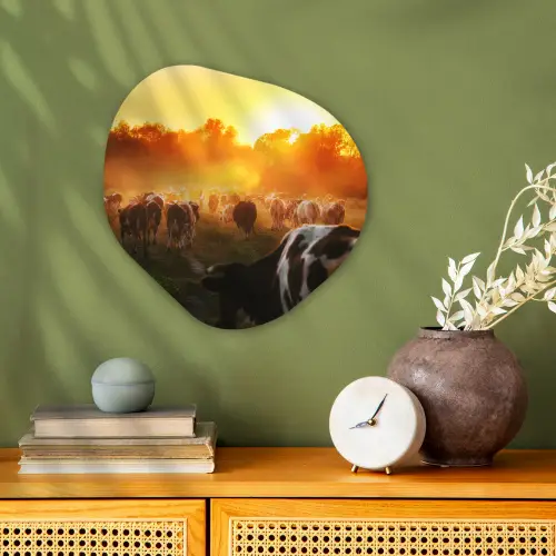 Koeien - Zonsondergang - Weiland - Dieren Wandcirkel Organisch Forex 3mm klein -sfeer2