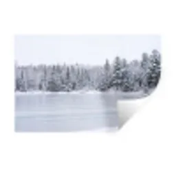 Meer - Dennen - IJs - Winter - Rustgevend Muursticker klein -3d