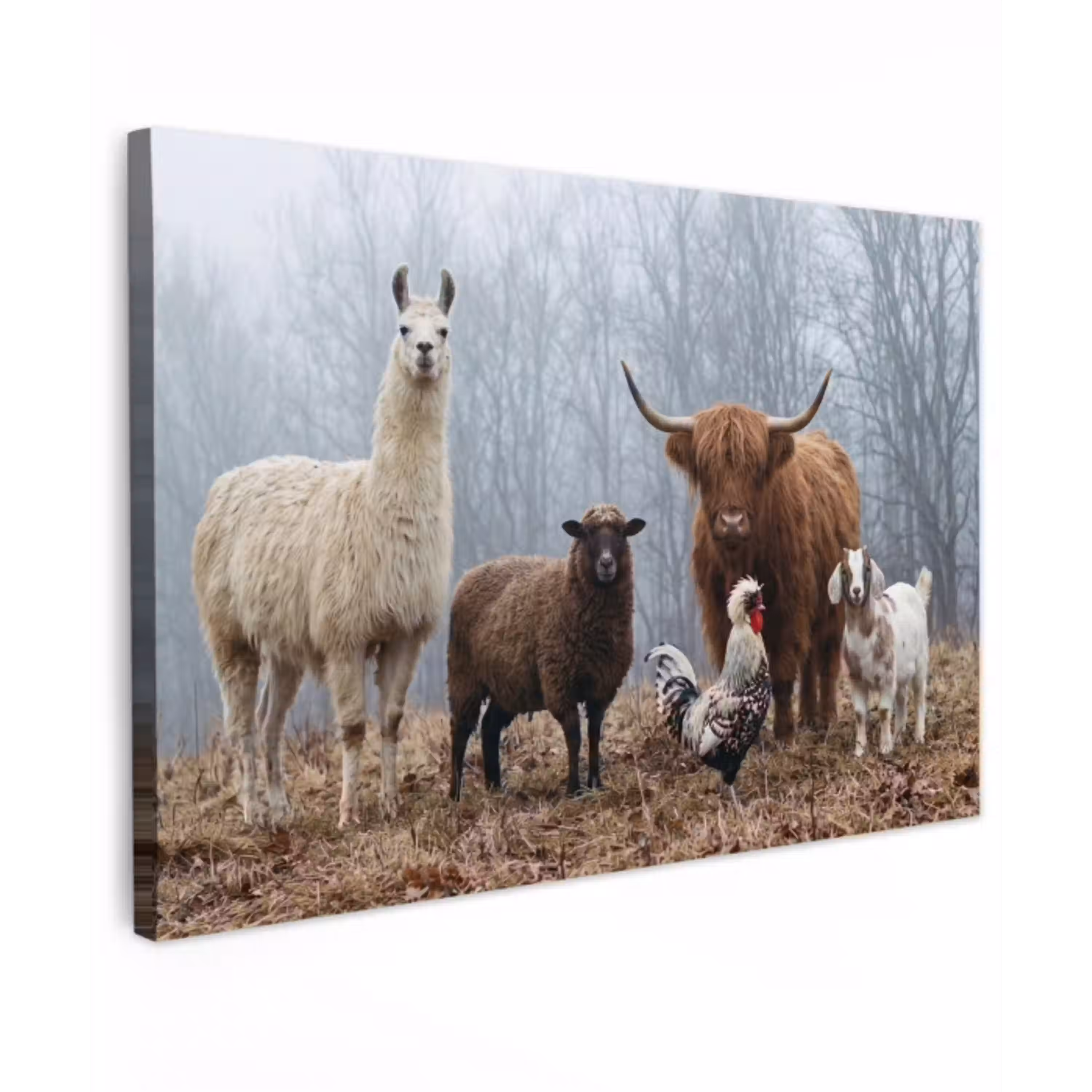 Boerderijdieren - Groep - Mist - Natuur - Rustiek canvas 2cm klein -z3d