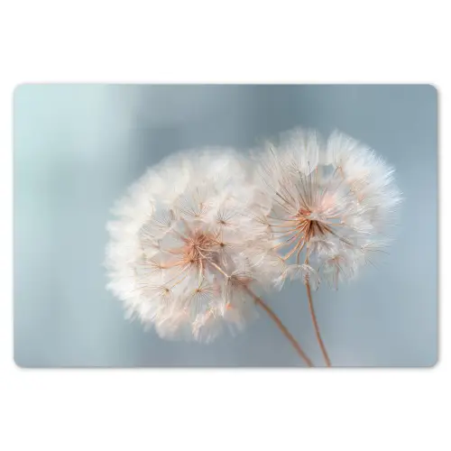 Paardenbloemen - Pluisjes - Wit Placemat vinyl groot -zzsfeer1_Kitchenyeah-website