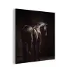 Krachtig - Paard - Donker aluminium wit klein -3d