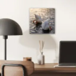 Eenden - Water - Natuur aluminium wit klein -sfeer5