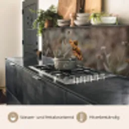 Zonnehoed - Droogbloemen - Geel - Warm keuken achterwand 2 middel -usp_DE