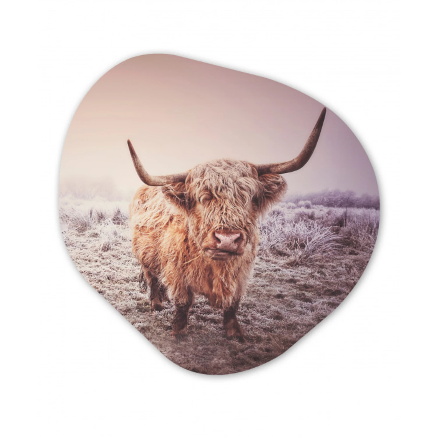 Schotse hooglanders - Licht - Lucht - Natuur Wandcirkel Organisch Forex 3mm klein -3d