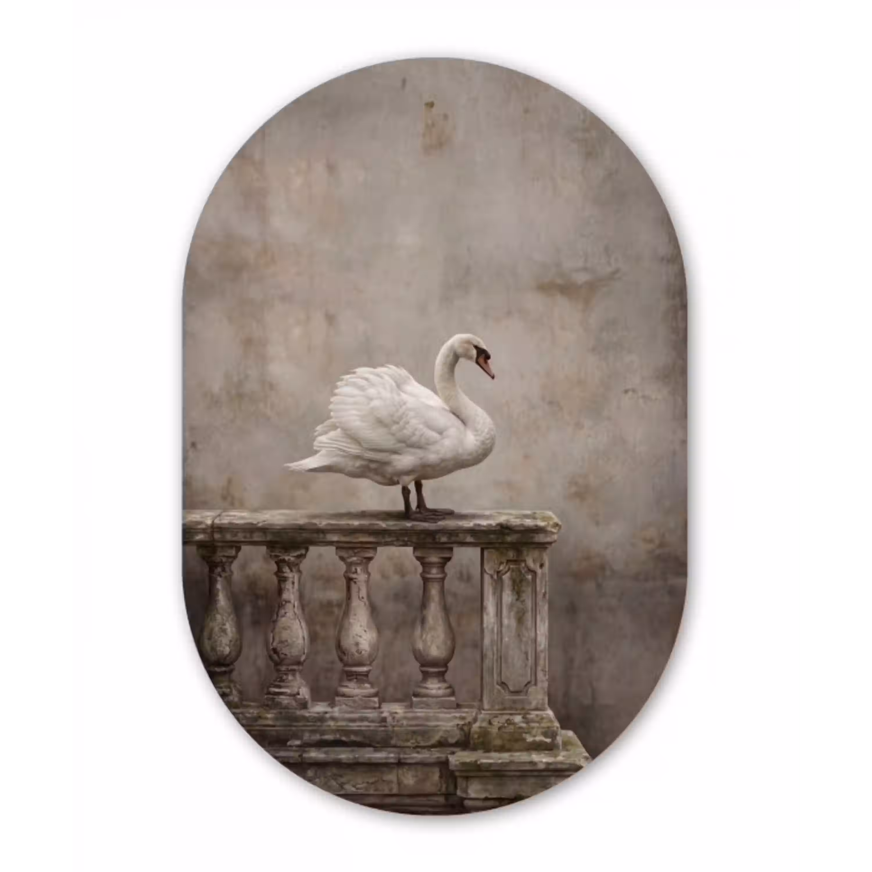 Zwaan - Elegant - Dieren - Wit Wandcirkel Ovaal Aluminium middel -3d
