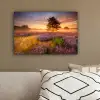 Heidelandschap met een boom canvas 2cm klein -sfeer3