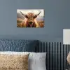 Schotse hooglander - Landschap - Dier poster papier klein -sfeer2
