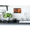 Dolfijnen - Zee - Realistisch Muursticker klein -keuken