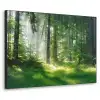 Natuur - Bomen - Bos - Groen - Zon - Gras - Planten Textielframe zwart klein -3d