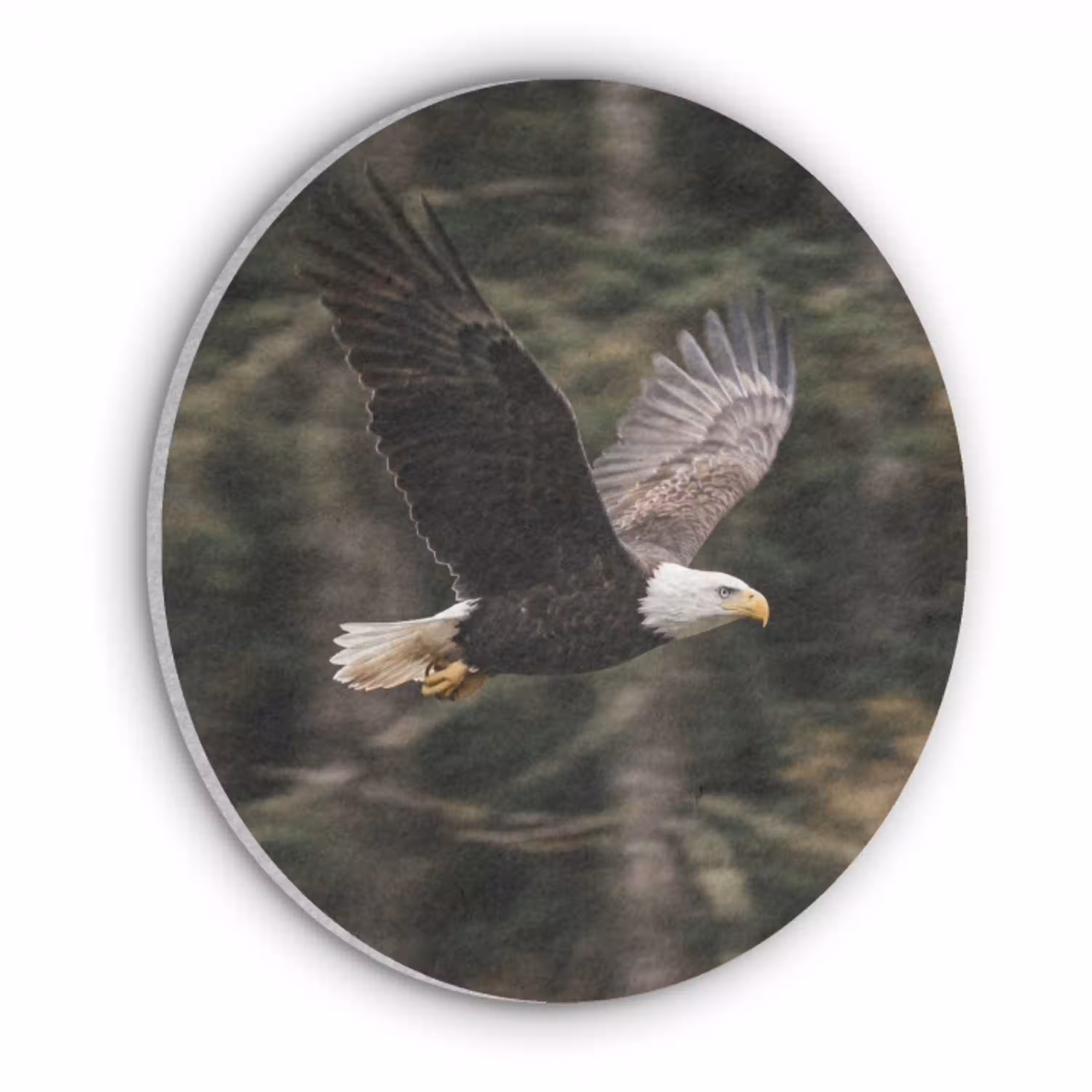 Zeearend - Vliegen - Bos - Natuur Akoestische PET Vilt - Rond klein -3d