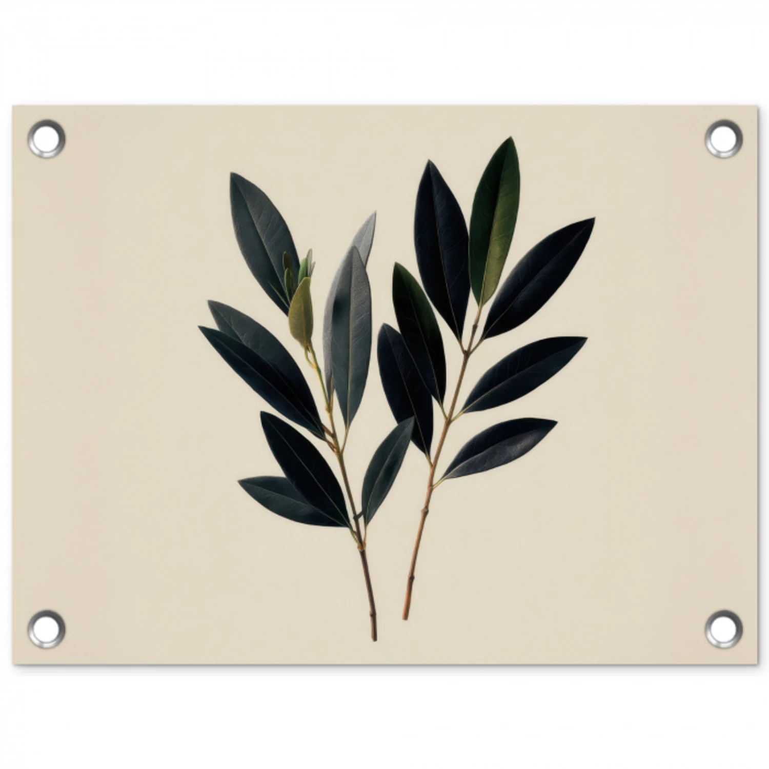 Ovaalvormige bladeren - Diep groen - Symmetrisch tuinposter los doek klein -3d